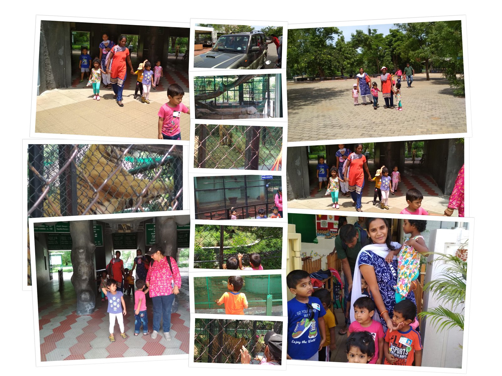 Nature Walk and Wildlife Excursions