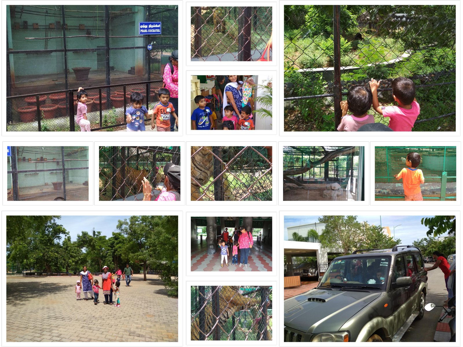 Vandalur Zoo - Nature Walk & Wildlife Studies